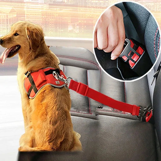 Belt Pet Seat
